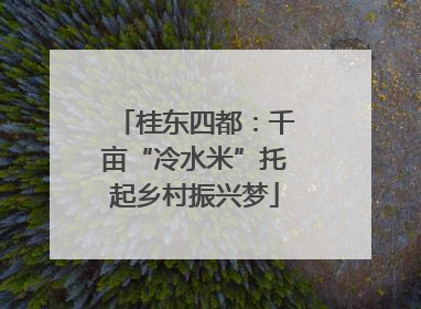桂东四都：千亩“冷水米”托起乡村振兴梦