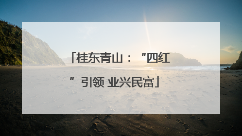 桂东青山：“四红”引领 业兴民富