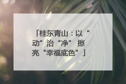 桂东青山：以“动”治“净” 擦亮“幸福底色”