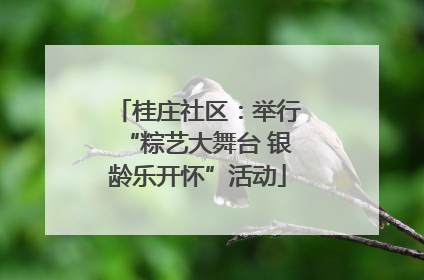 桂庄社区：举行“粽艺大舞台 银龄乐开怀”活动