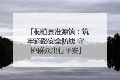 桐柏县淮源镇：筑牢道路安全防线 守护群众出行平安