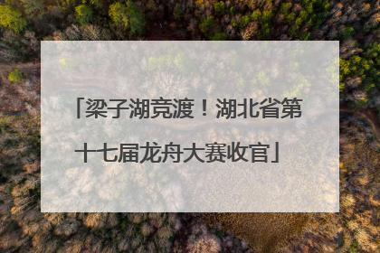 梁子湖竞渡！湖北省第十七届龙舟大赛收官