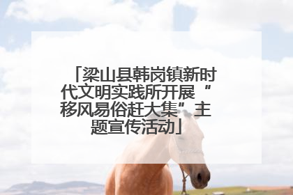 梁山县韩岗镇新时代文明实践所开展“移风易俗赶大集”主题宣传活动
