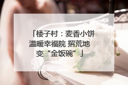 楼子村：麦香小饼温暖幸福院 撂荒地变“金饭碗”