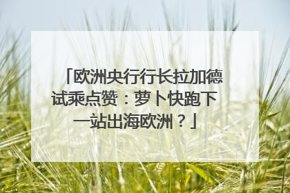 欧洲央行行长拉加德试乘点赞：萝卜快跑下一站出海欧洲？