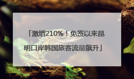 激增210%！免签以来昆明口岸韩国旅客流量飙升
