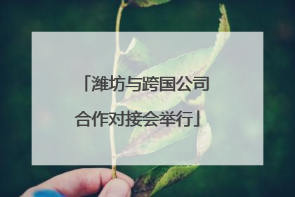 潍坊与跨国公司合作对接会举行