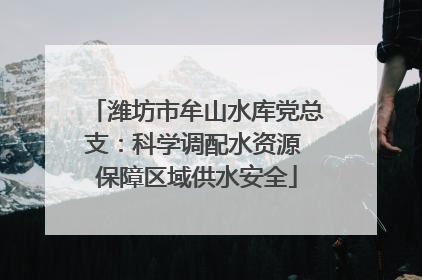 潍坊市牟山水库党总支：科学调配水资源 保障区域供水安全