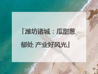 潍坊诸城：瓜甜葱郁处 产业好风光