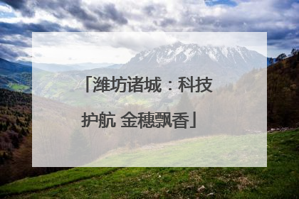 潍坊诸城：科技护航 金穗飘香