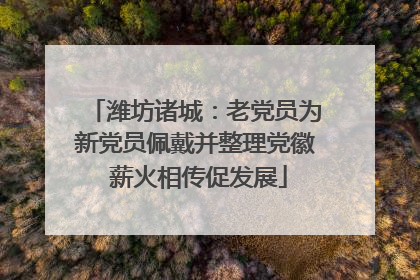 潍坊诸城：老党员为新党员佩戴并整理党徽 薪火相传促发展