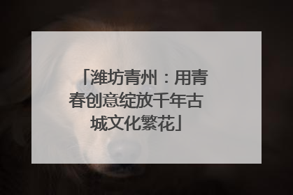 潍坊青州：用青春创意绽放千年古城文化繁花