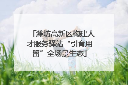 潍坊高新区构建人才服务驿站“引育用留”全场景生态