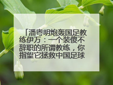 潘粤明炮轰国足教练伊万：一个装傻不辞职的所谓教练，你指望它拯救中国足球！此前曾多次发文评价国足