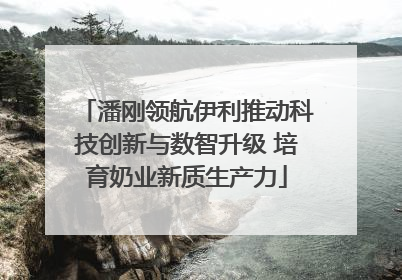 潘刚领航伊利推动科技创新与数智升级 培育奶业新质生产力