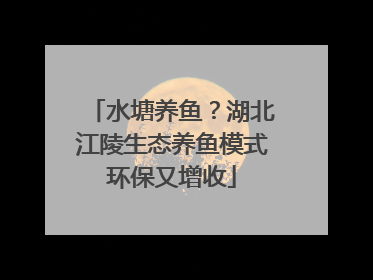 水塘养鱼？湖北江陵生态养鱼模式环保又增收