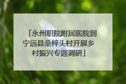 永州职院附属医院到宁远县桑梓头村开展乡村振兴专题调研