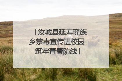 汝城县延寿瑶族乡禁毒宣传进校园 筑牢青春防线