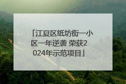 江夏区纸坊街一小区一年逆袭 荣获2024年示范项目