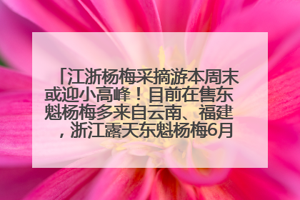江浙杨梅采摘游本周末或迎小高峰！目前在售东魁杨梅多来自云南、福建，浙江露天东魁杨梅6月中旬大量上市