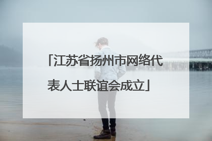 江苏省扬州市网络代表人士联谊会成立