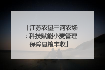 江苏农垦三河农场：科技赋能小麦管理保障夏粮丰收