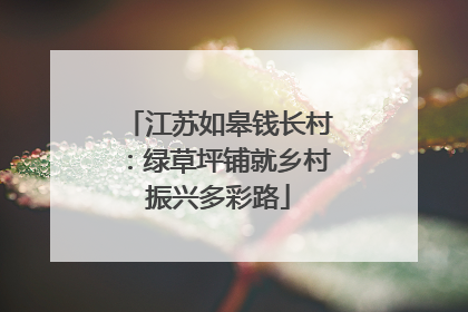 江苏如皋钱长村：绿草坪铺就乡村振兴多彩路
