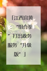江西宜黄：“组合拳”打出政务服务“升级版”