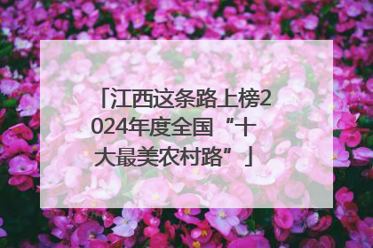 江西这条路上榜2024年度全国“十大最美农村路”