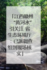 江西赣州“黄河水”引关注 省生态环境厅：已派调查组到现场核实