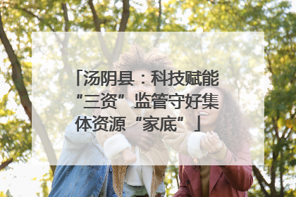 汤阴县：科技赋能“三资”监管守好集体资源“家底”