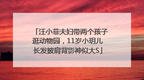 汪小菲夫妇带两个孩子逛动物园，11岁小玥儿长发披肩背影神似大S
