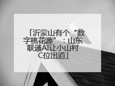 沂蒙山有个“数字桃花源”：山东联通AI让小山村C位出道
