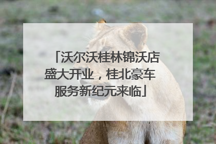 沃尔沃桂林锦沃店盛大开业，桂北豪车服务新纪元来临