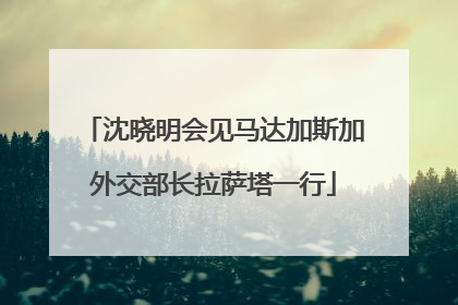 沈晓明会见马达加斯加外交部长拉萨塔一行