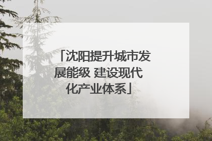 沈阳提升城市发展能级 建设现代化产业体系