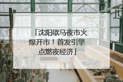 沈阳歇马夜市火爆开市！首发引擎点燃夜经济