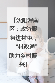 沈阳浑南区：政务服务进村屯，“村政通”助力乡村振兴