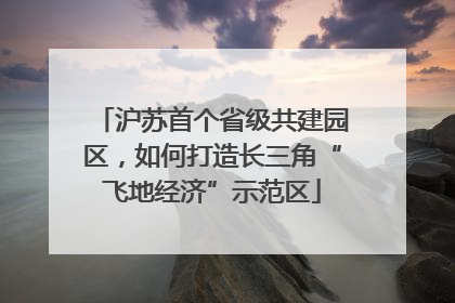 沪苏首个省级共建园区，如何打造长三角“飞地经济”示范区