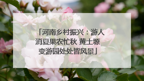 河南乡村振兴：游人消夏果农忙秋 黄土塬变游园处处皆风景