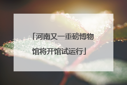 河南又一重磅博物馆将开馆试运行