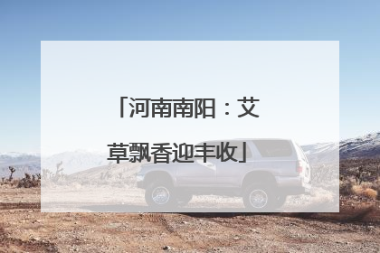 河南南阳：艾草飘香迎丰收