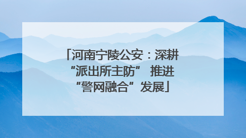 河南宁陵公安：深耕“派出所主防” 推进“警网融合”发展