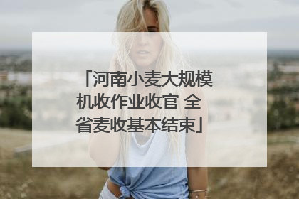 河南小麦大规模机收作业收官 全省麦收基本结束