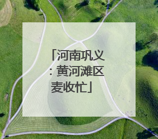 河南巩义：黄河滩区麦收忙