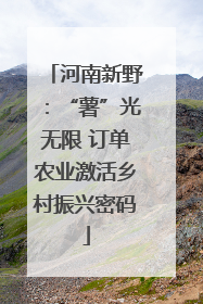 河南新野：“薯”光无限 订单农业激活乡村振兴密码