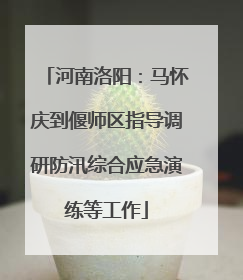河南洛阳：马怀庆到偃师区指导调研防汛综合应急演练等工作