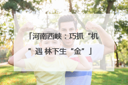 河南西峡：巧抓“机”遇 林下生“金”
