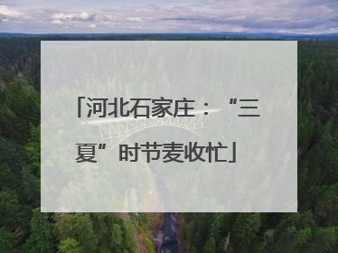 河北石家庄：“三夏”时节麦收忙