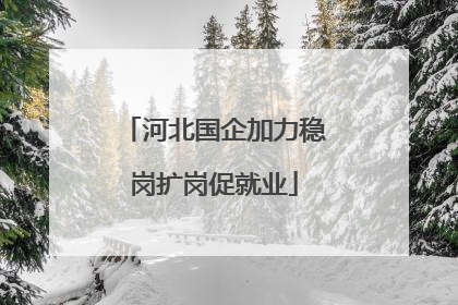 河北国企加力稳岗扩岗促就业
